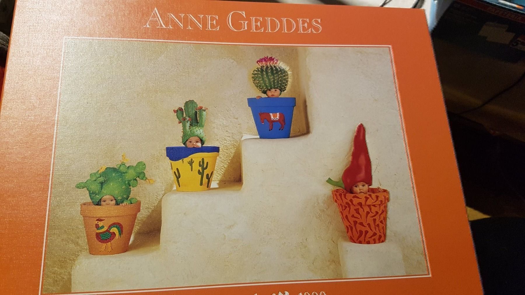 Puzzle: Anne Gedes Schmidt Puzzle 1000 B – Usato da Schwarzenburg venduto da Flamingo07