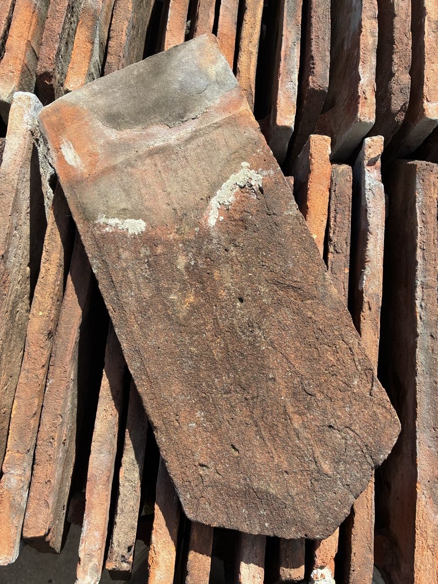 Pietre & tegole: Biberschwanzziegel Antik mit Handstrich – Usato da Vinelz venduto da Danilo.Stuck 3