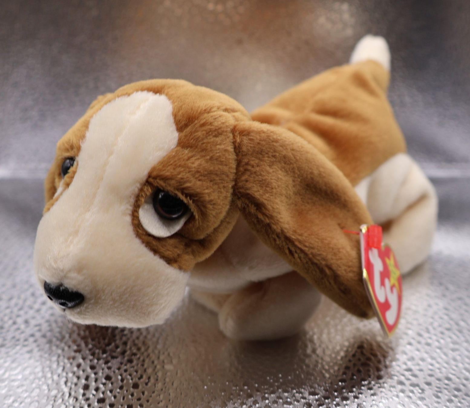 Ty Spielzeuge: Ty Beanie Baby  TRACKER .. Geb.05.06.1997 – Gebraucht aus winterthur von Beanieswis