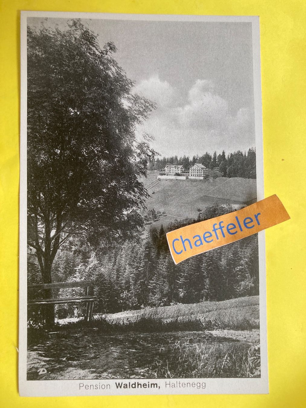 Cartoline postali: 1935 Pension Waldheim, Haltenegg – Usato da Zürich venduto da Chaeffeler