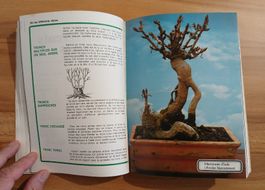 Livre "Les Bonsaï" Gérard Leprêtre - Rustica Dargaud📚🌳💚