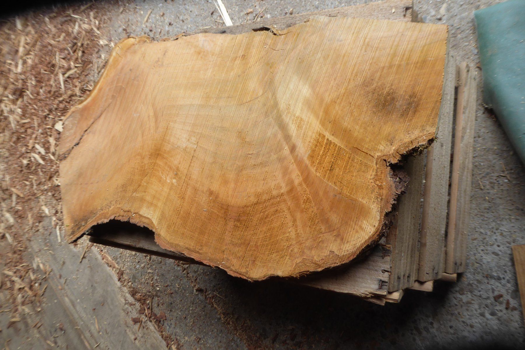 Holzartikel: Kirschbaumbrett – Neu (gemäss Beschreibung) aus Sumiswald von Hennri1 1