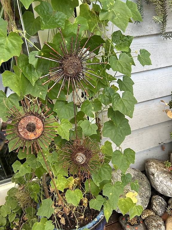 Alle Dekorationen: 1 Deko Blume  – Neu und originalverpackt aus Frauenfeld von ire_q29k 3