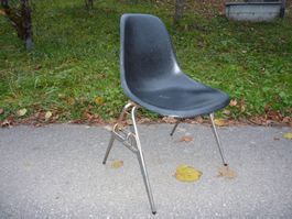 Eames Stuhl Stapelstuhl DSS Fiberglas Herman Miller Vitra