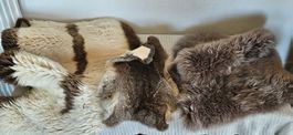 Verschiedene Felle x3, Lammfelle