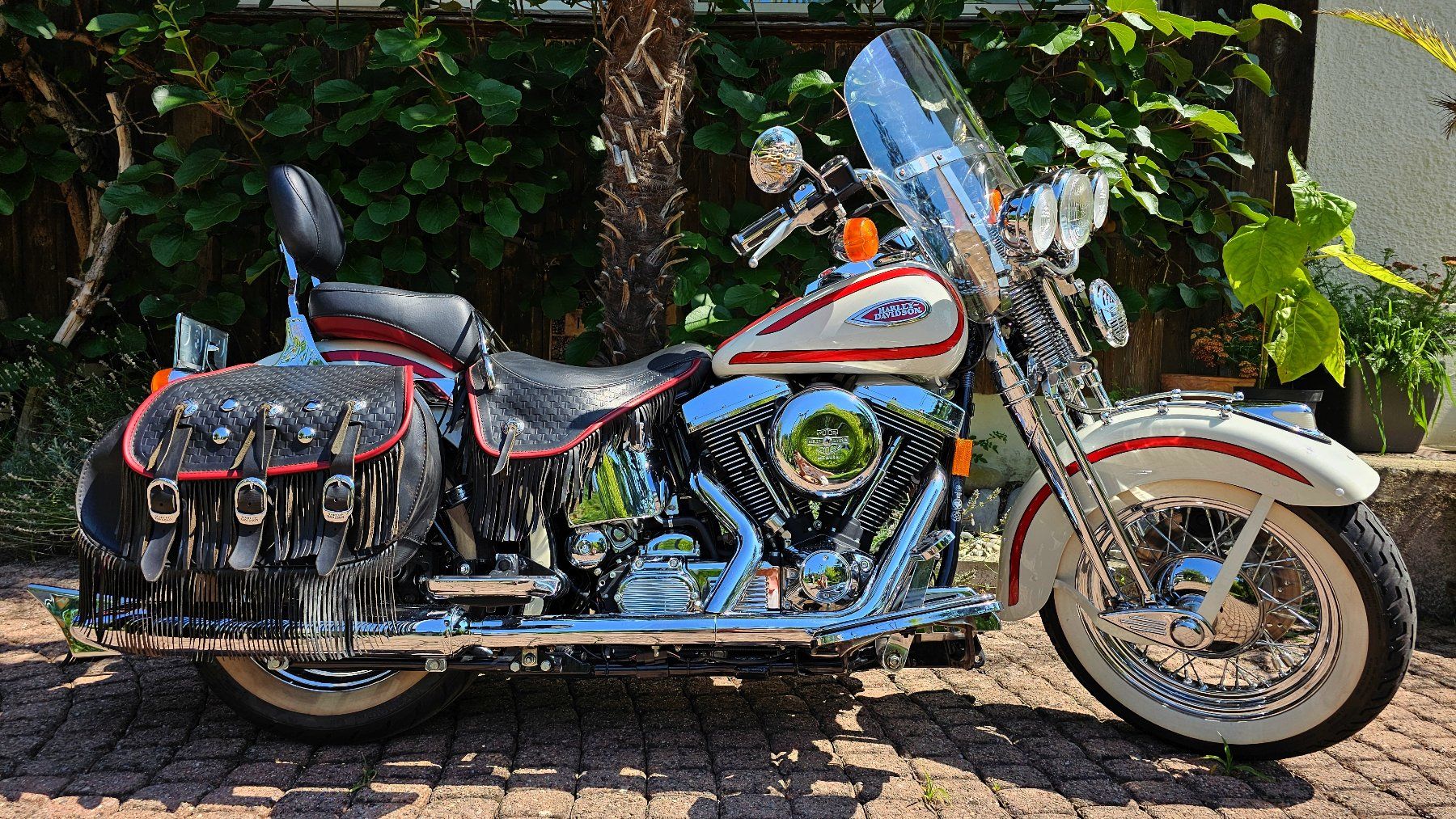 Harley-Davidson Chopper: HARLEY-DAVIDSON FLSTS Heritage Springer – Usato da Gränichen venduto da favo 2