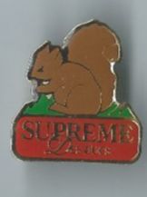 Plaketten & Abzeichen: Eichhörnchen Pin – Gebraucht aus Zürich von t24_de