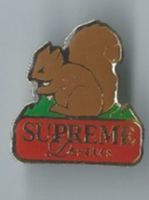 Eichhörnchen Pin