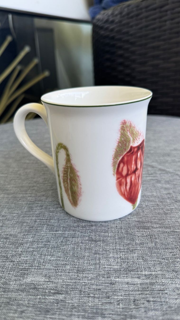 Villeroy & Boch Piatti: Villeroy Boch Tasse New – Nuovo (secondo la descrizione) da Zürich venduto da Privat4444 1