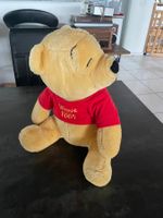 Peluche Winnie The Pooh