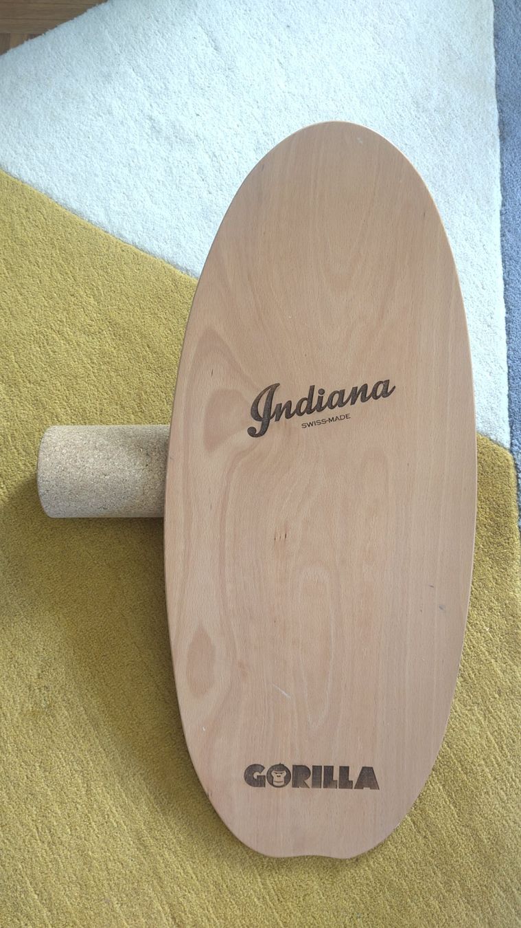 Hometrainer: Balance Board Indiana – Gebraucht aus Zürich von jackob.stein