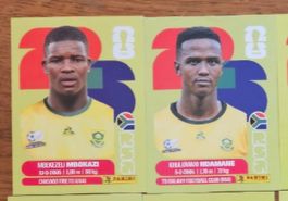 Panini Sticker WM 2026 - RSA 6/ 7