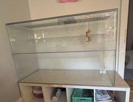 Grosses Terrarium aus Glas, Top zustand
