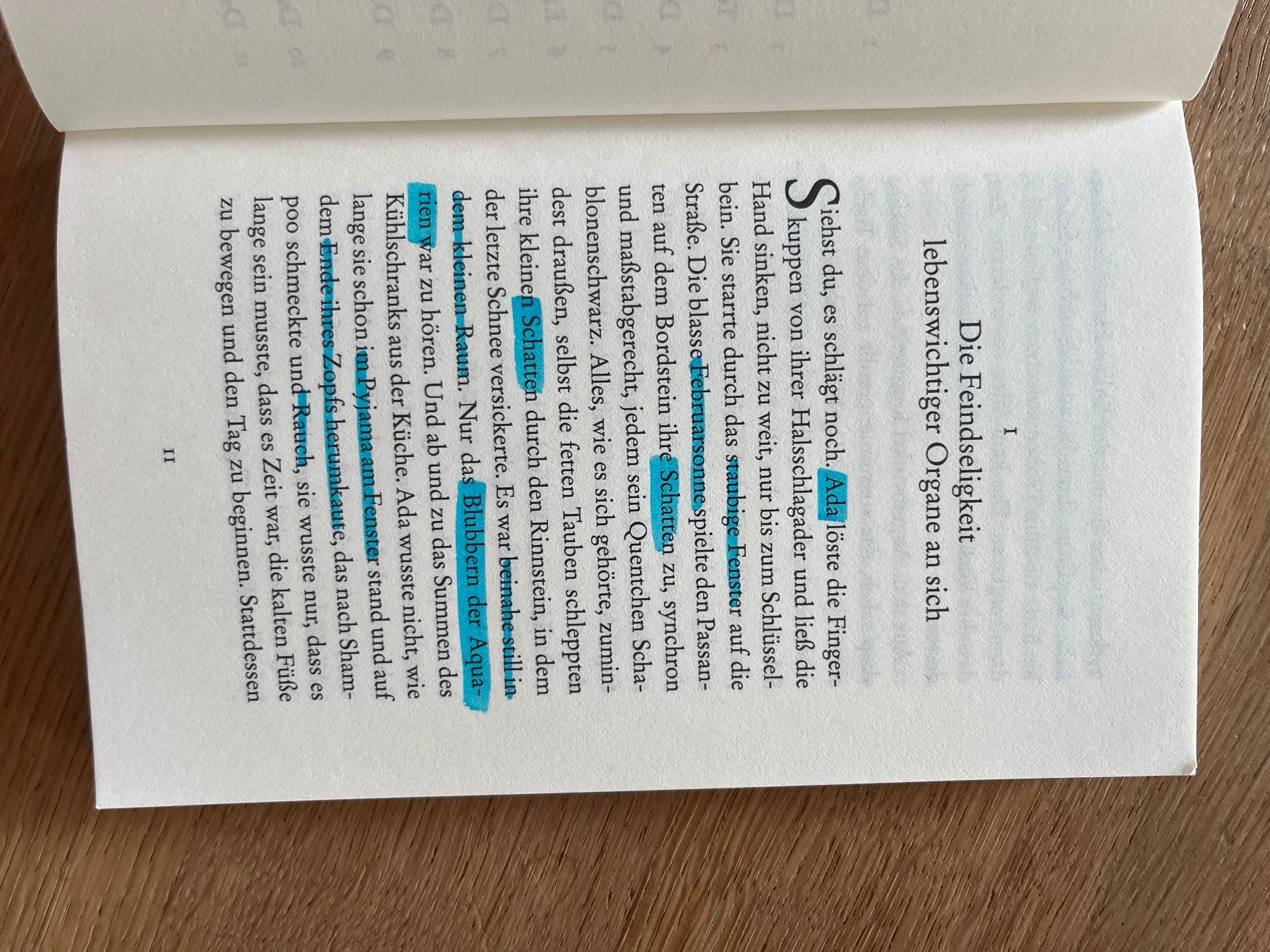 Bücher: Simone Lappert - Wurfschatten – Gebraucht aus Laupen BE von lee_ym6v 5