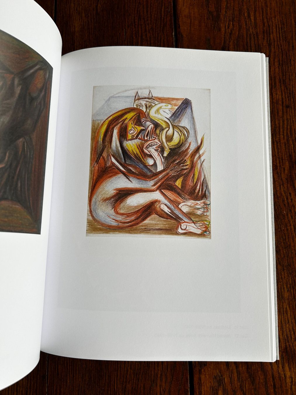 Bücher: The Figurative Pollock – Gebraucht aus Basel von Peter_schlemihl 1