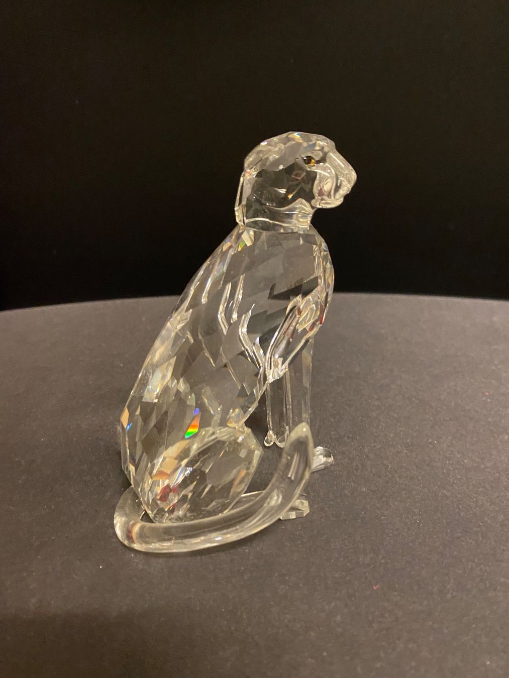 Swarovski Figuren: Cheetah 1994 - Swarovski Figur – Gebraucht aus Zürich von Manuel.Huber 1