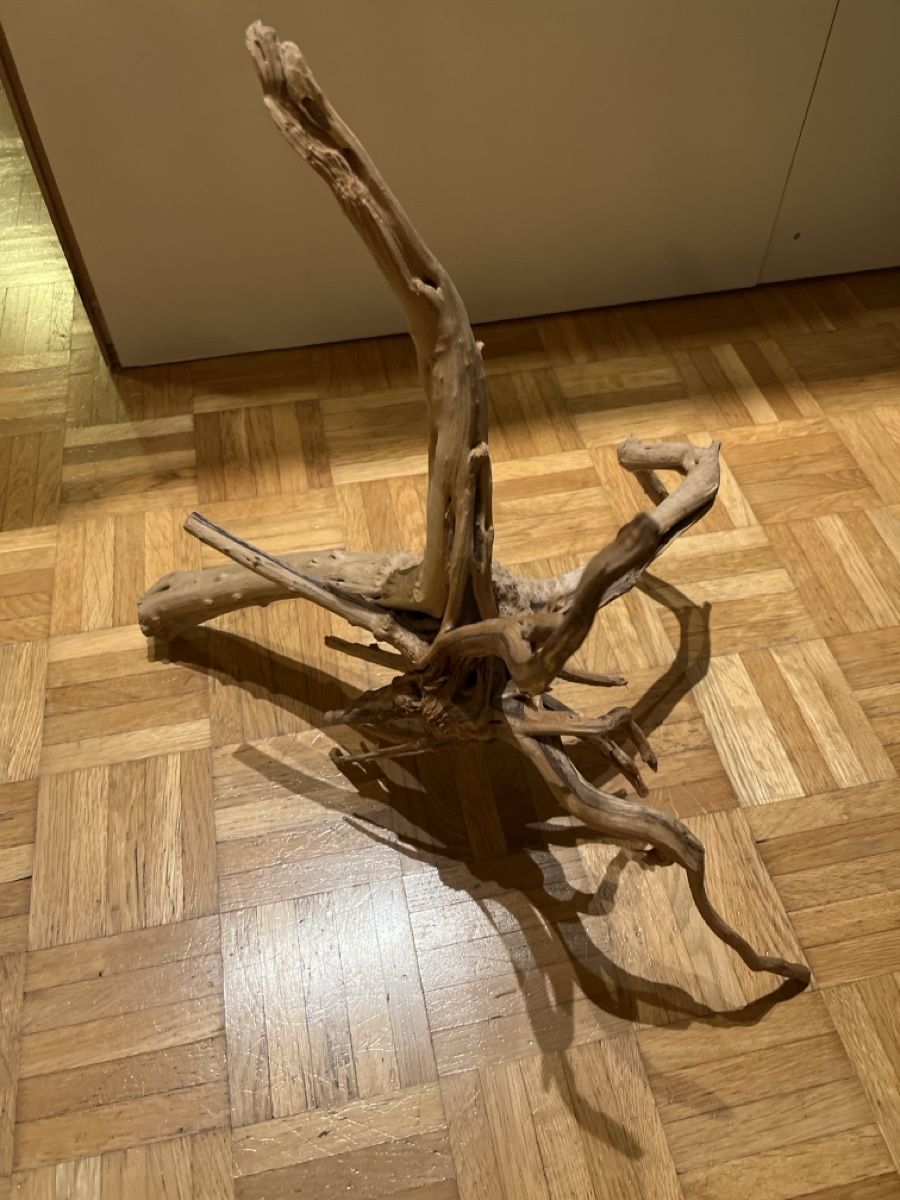 Acquari: Aquarium Holz  – Usato da Walkringen venduto da ise_v5dn 4