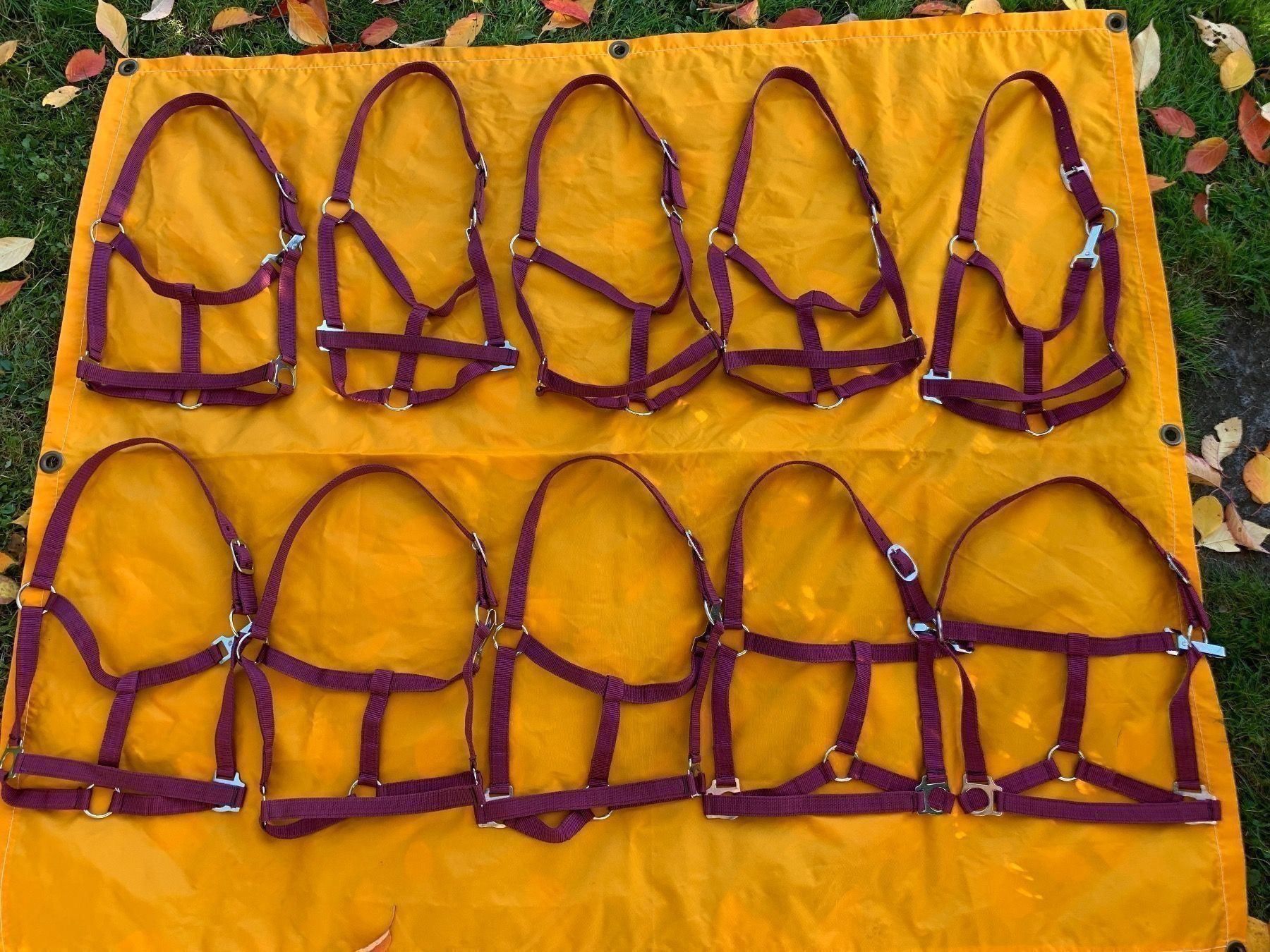 Briglie & Cavezze: 10 schöne Nylonhalftern – Usato da Feldbach venduto da Fea1 1