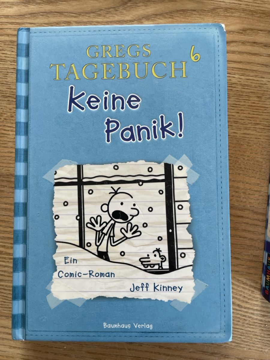 Libri: Gregs Tagebuch – Usato da Aegerten venduto da tantelotte1
