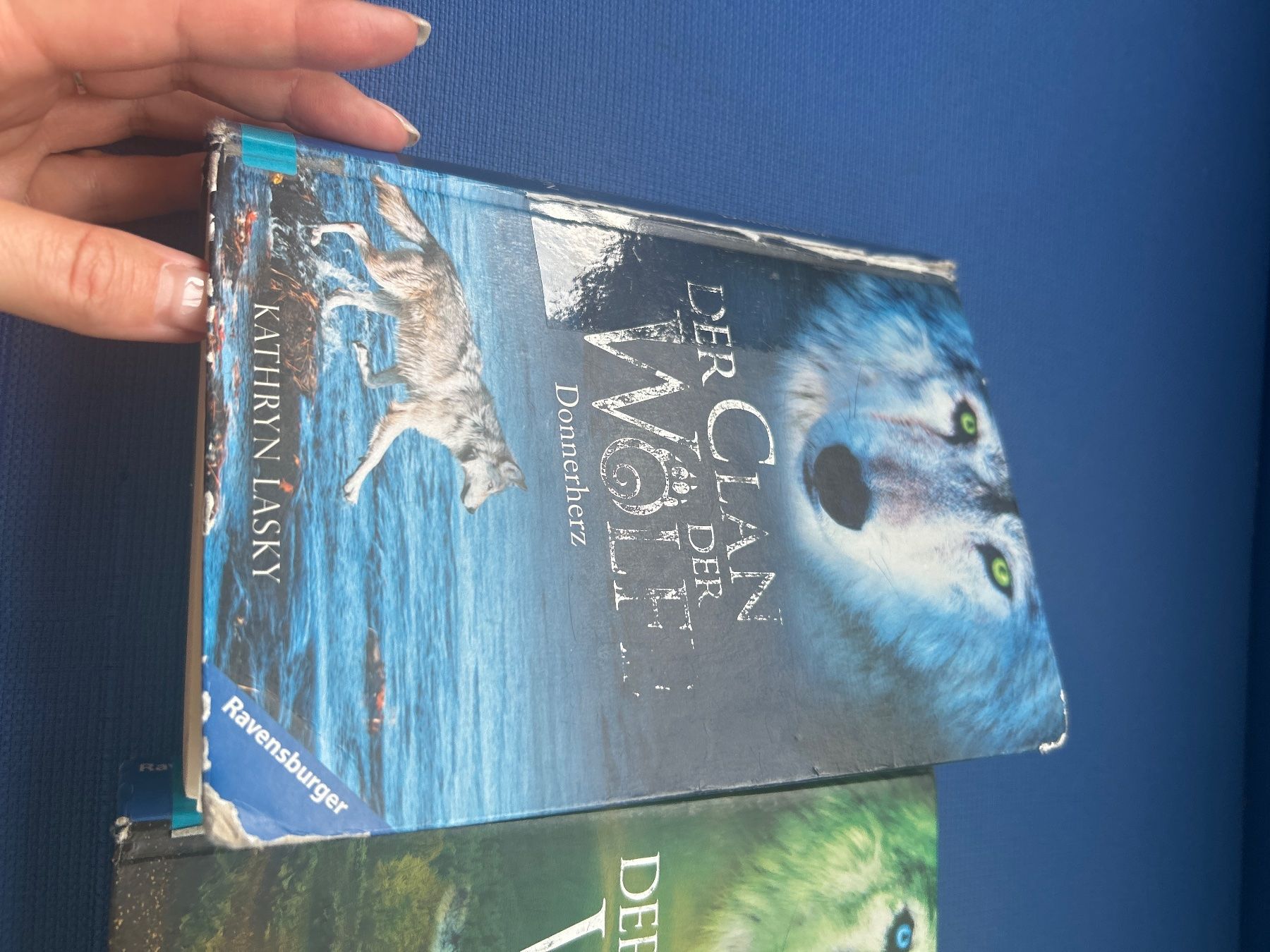 Libri: Der Clan der Wölfe – Usato da Zürich venduto da Madita_auf_der_Erbse 1