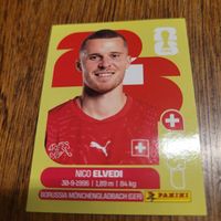 Panini 26 ELVEDI