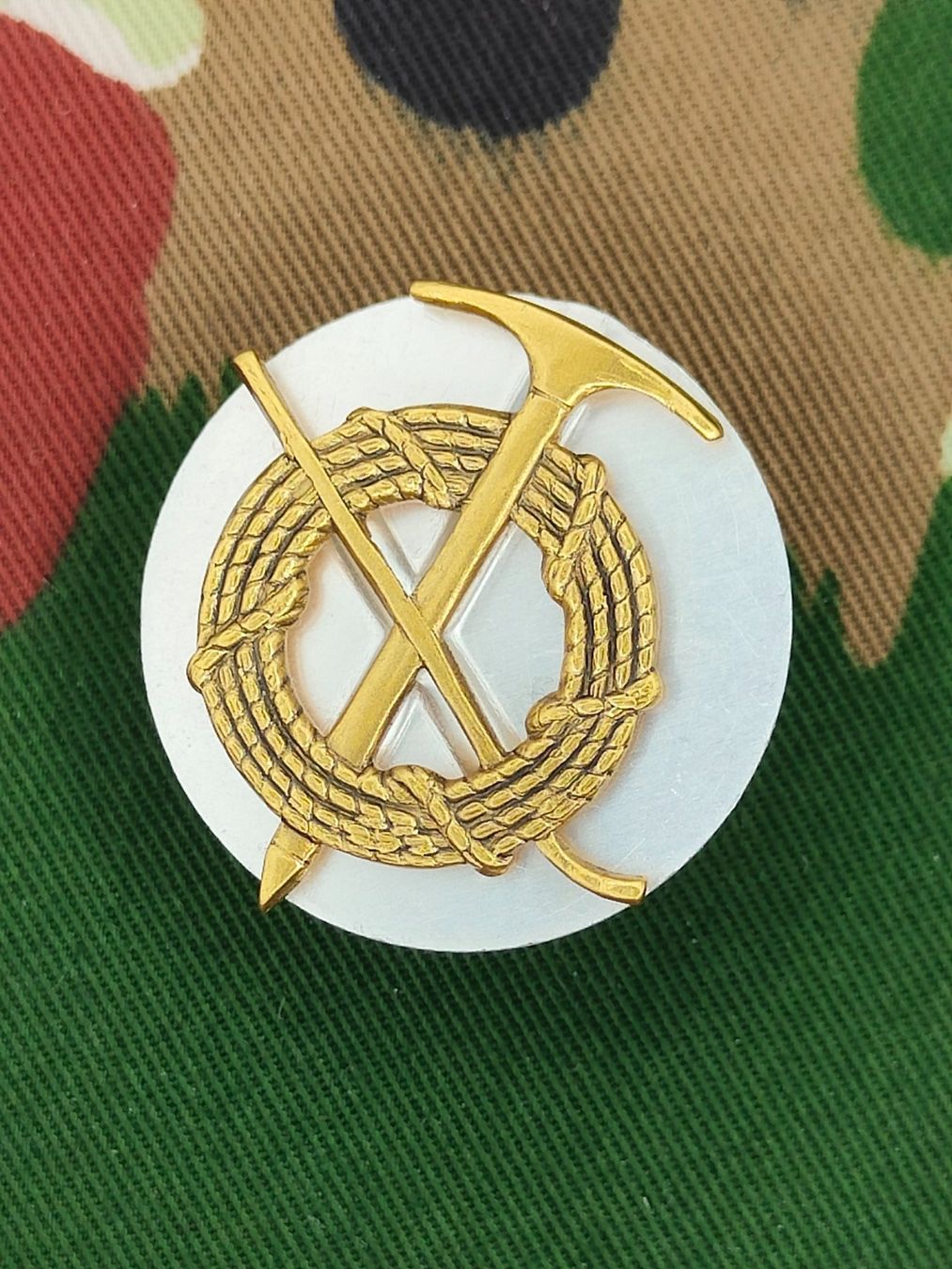 Schweizer Armee Placchette & Badge: Hochgebirgsabzeichen Ord. 1995, neu – Nuovo (secondo la descrizione) da Bauma venduto da SwissMilitaria