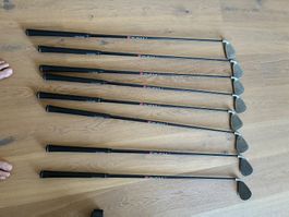 Golf Eisenset Herren