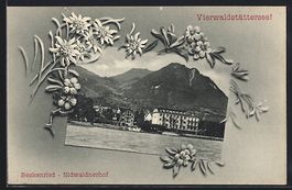 Beckenried /Vierwaldstättersee, Hotel N