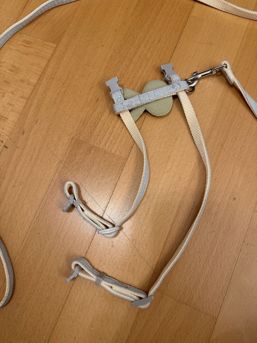 Guinzagli & Collari: Katzengeschirr pet leash – Nuovo (secondo la descrizione) da Zürich venduto da arr_vq5w 3