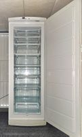 ELECTROLUX XXL Gefrierschrank 300L TOP Zustand AB NUR 1.-!!!