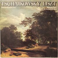 Tschaikowsky - Klavierkonzert Nr. 1 / Liszt - Fantasie (LP)