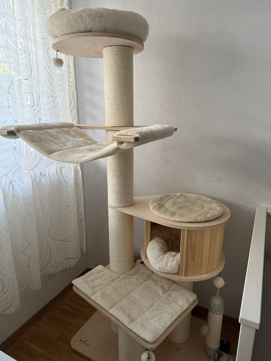 Kratzbaum Natural Paradise Magnolia XL Plus (Neu (gemss Beschreibung)) in  Siebnen fr CHF 150  nur Abholung auf Ricardo kaufen