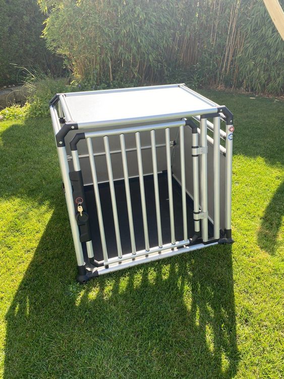 Dog box outlet proline