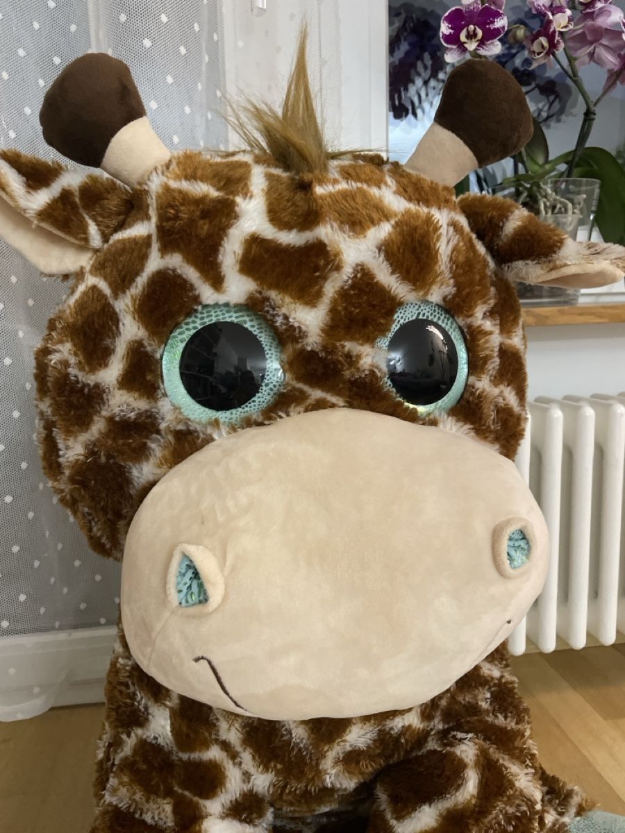 Giocattoli: Plüschtier gross Giraffe – Usato da Rüfenacht BE venduto da Edinas_shop 2