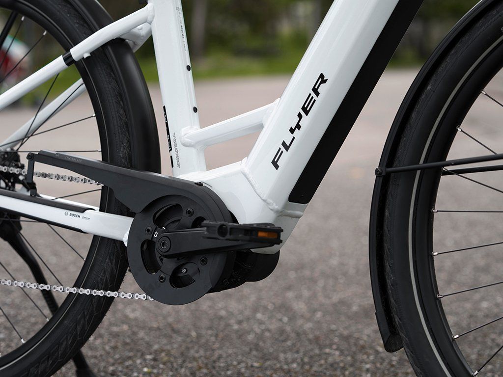 Flyer Biciclette: FLYER Gotour EL 3.40 neu - Leichter leben – Nuovo e nell'imballaggio originale da Burgdorf venduto da Herzroute 2