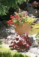 Amphore, Blumenvase