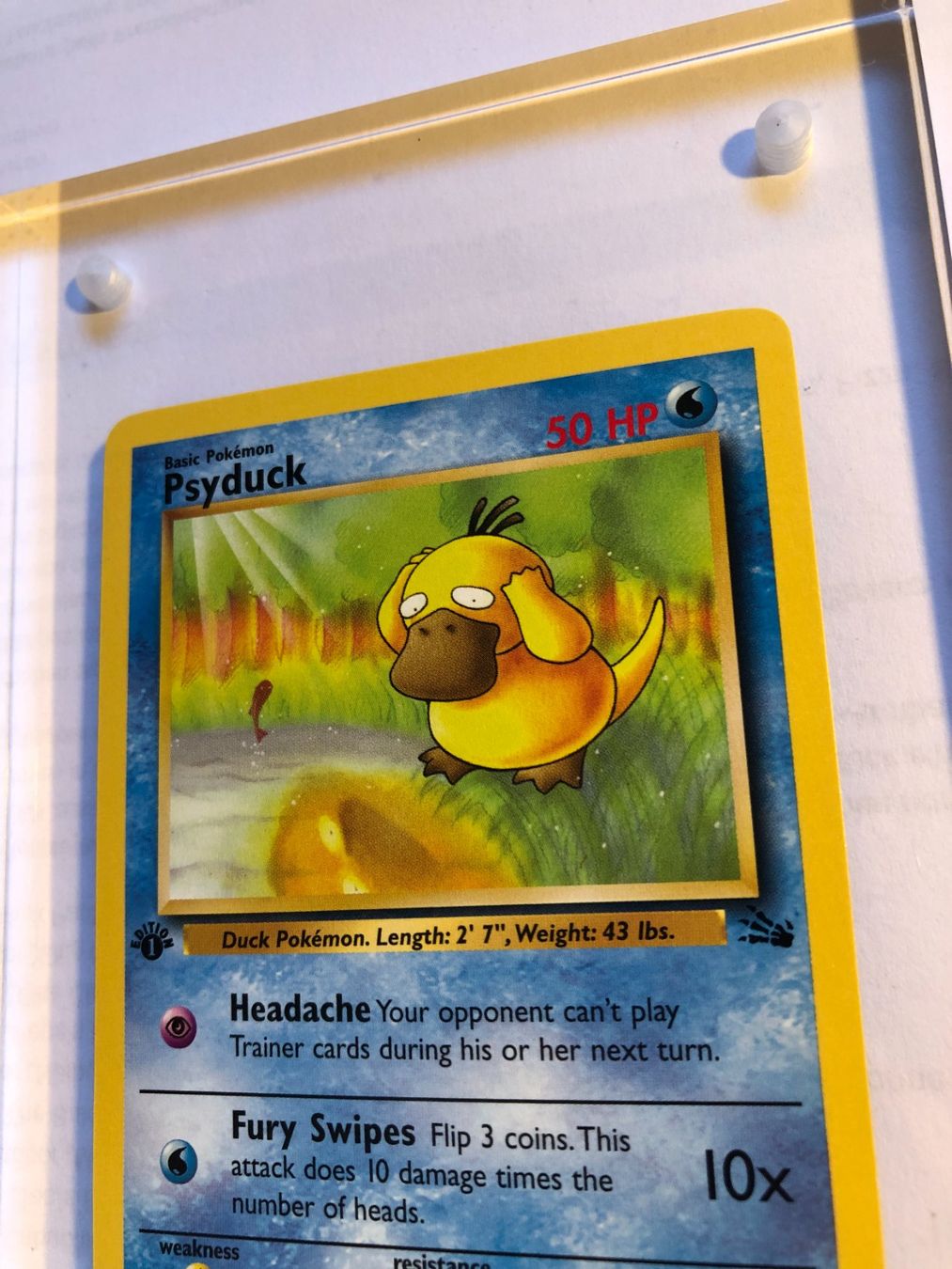 Sammelbilder & Trading cards: Psyduck 1st Fossil - MINT - ab 1.- – Gebraucht aus Giubiasco von dan_pr8b 3