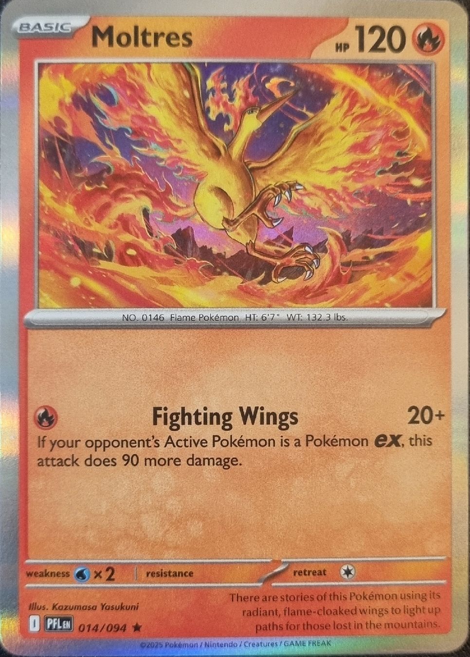 Pokémon Carte collezionabili: Pokemon Moltres Holo EN – Nuovo (secondo la descrizione) da Oberbipp venduto da ret_6hxb