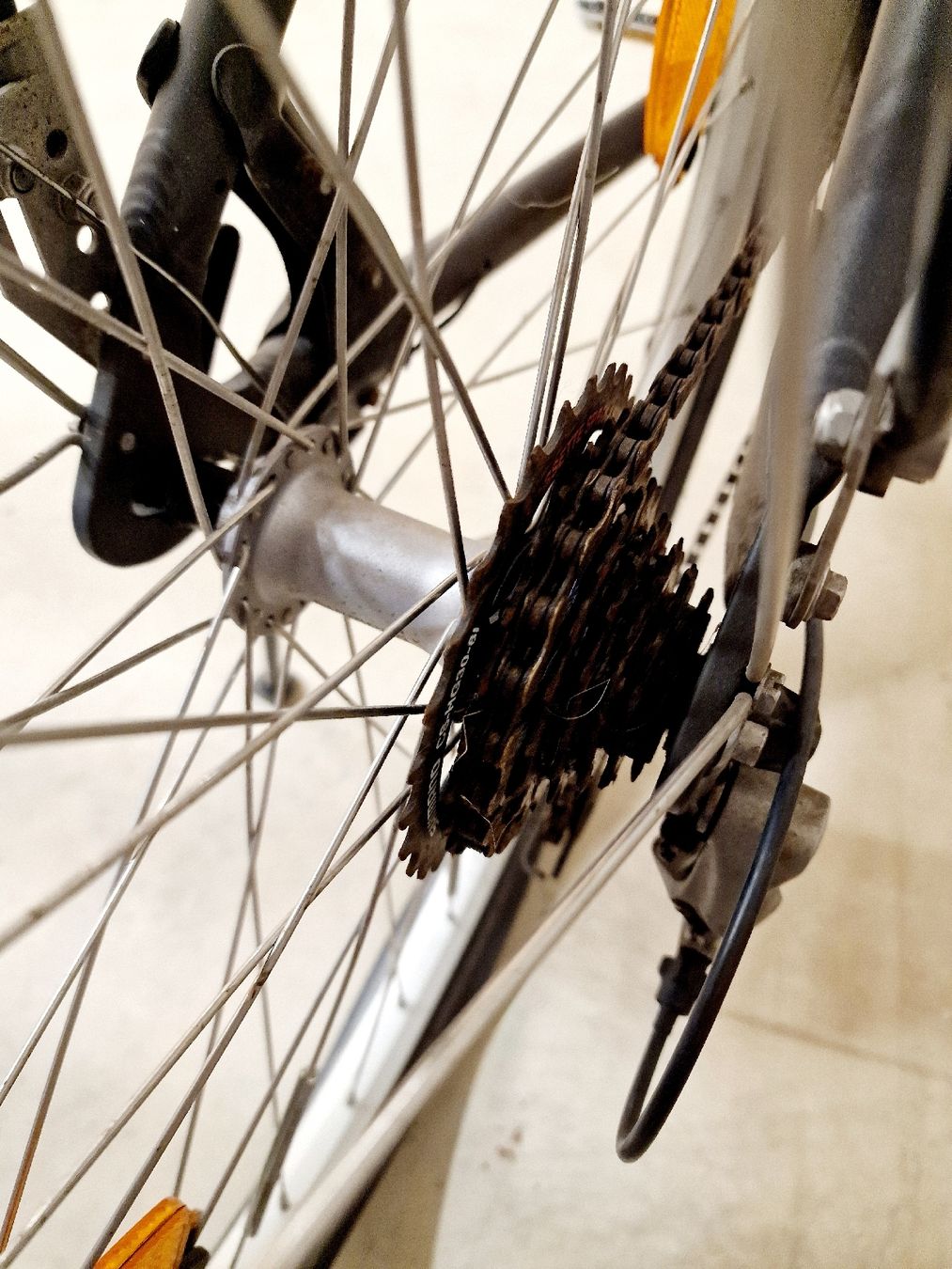 Biciclette: fahrrad raleigh damen grau – Usato da wetzikon venduto da Bestedienste 3