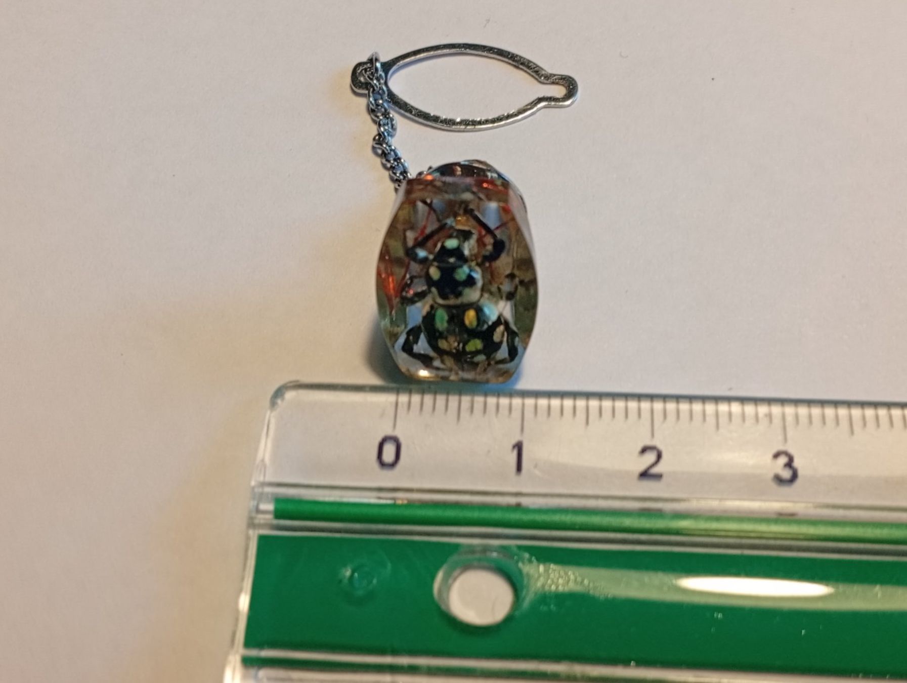 Placchette & Badge: Vintage Ansteck Pin mit Insekt – Usato da Baden venduto da TellsKuchenhaus 4