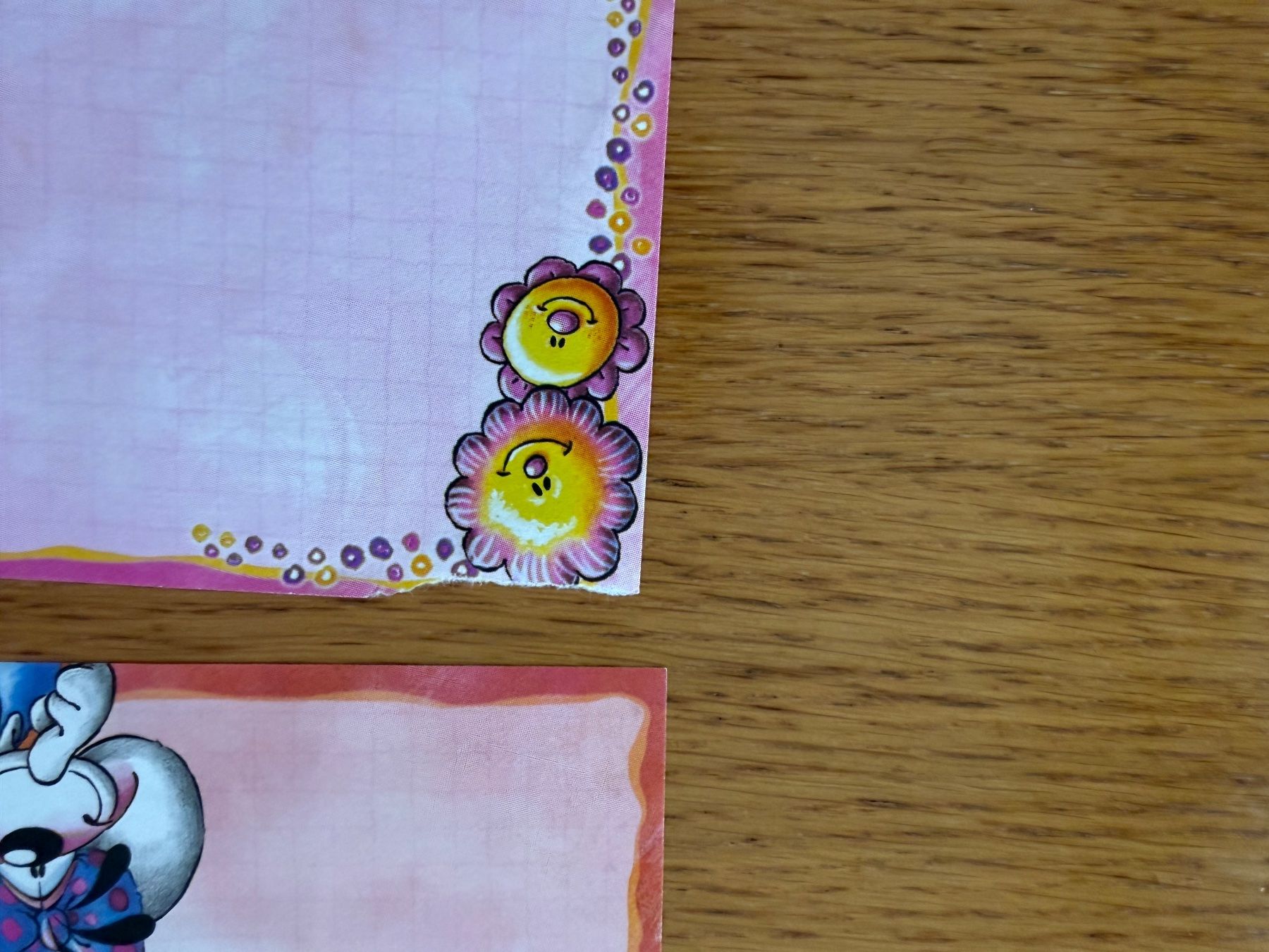 Carta: Briefpapier Set Diddl Maus – Usato da Buchs SG venduto da mei_6dnn 2