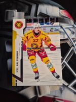 Joel Salzgeber SCL Tigers 2024/25 Sportzoo