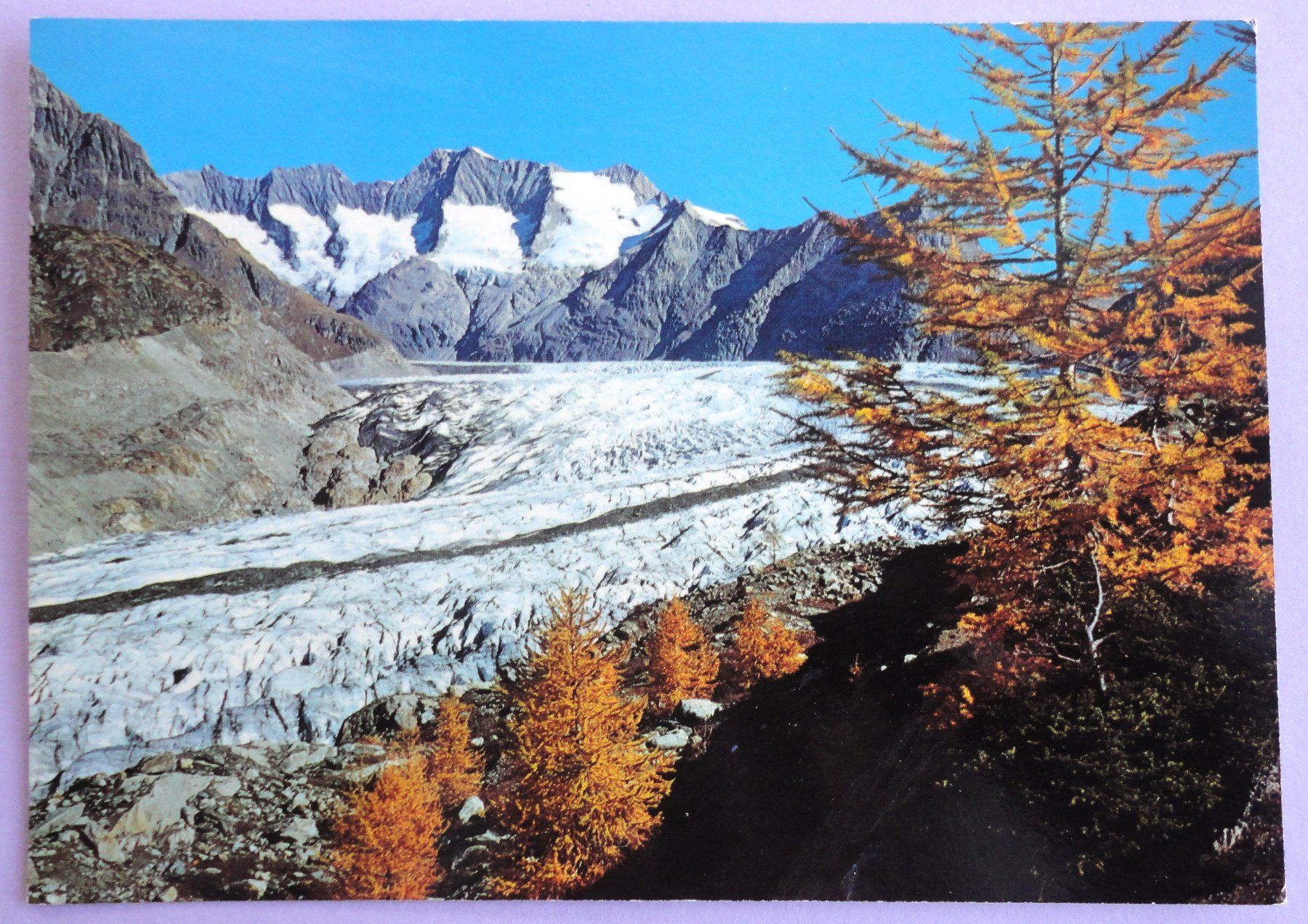 Cartoline postali: Aletschwald,  am Gr. Aletschgletscher – Usato da Fétigny venduto da Billy2miny