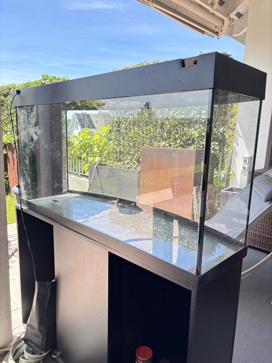 Juwel Aquarium: Juwel Aquarium 260l mit Gestell – D'occasion à Aarwangen par tri_vr92 1