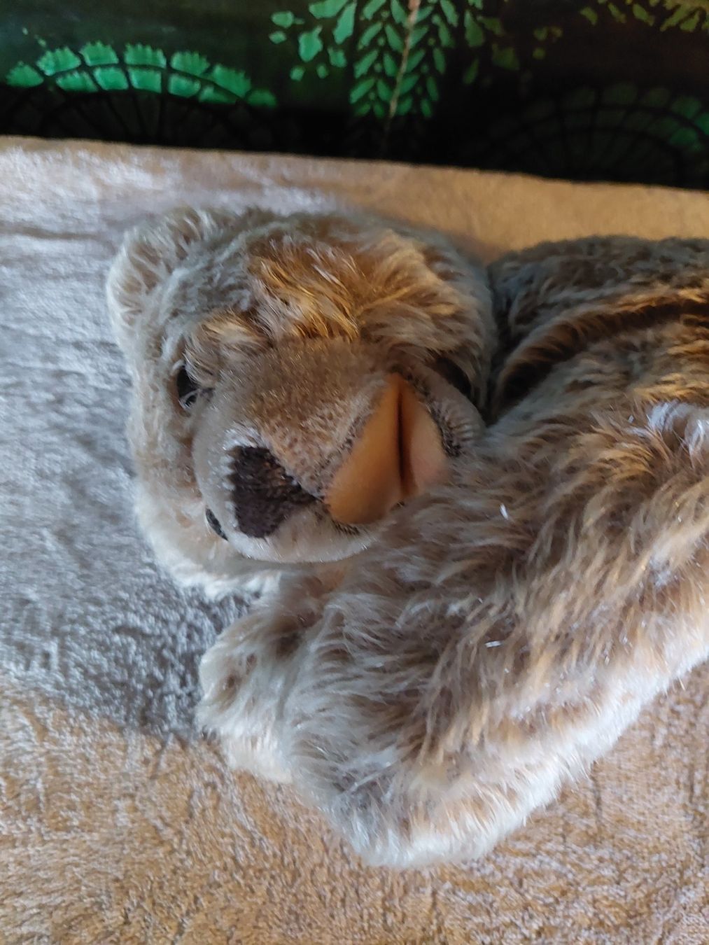 Steiff Giocattoli: Älterer schlafender Steiff Teddybär – Usato da Otelfingen venduto da silver-moon