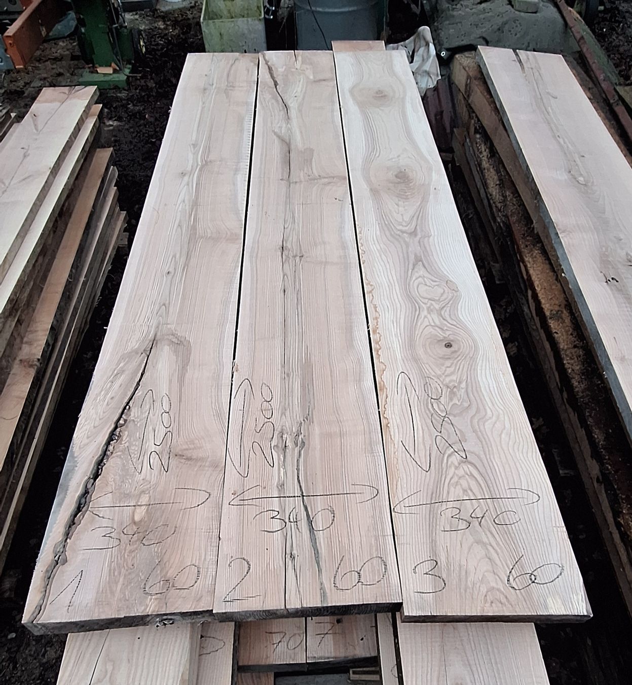 Articoli in legno: Eschenbrett 60mm – Nuovo (secondo la descrizione) da Waldkirch venduto da bauprofi87