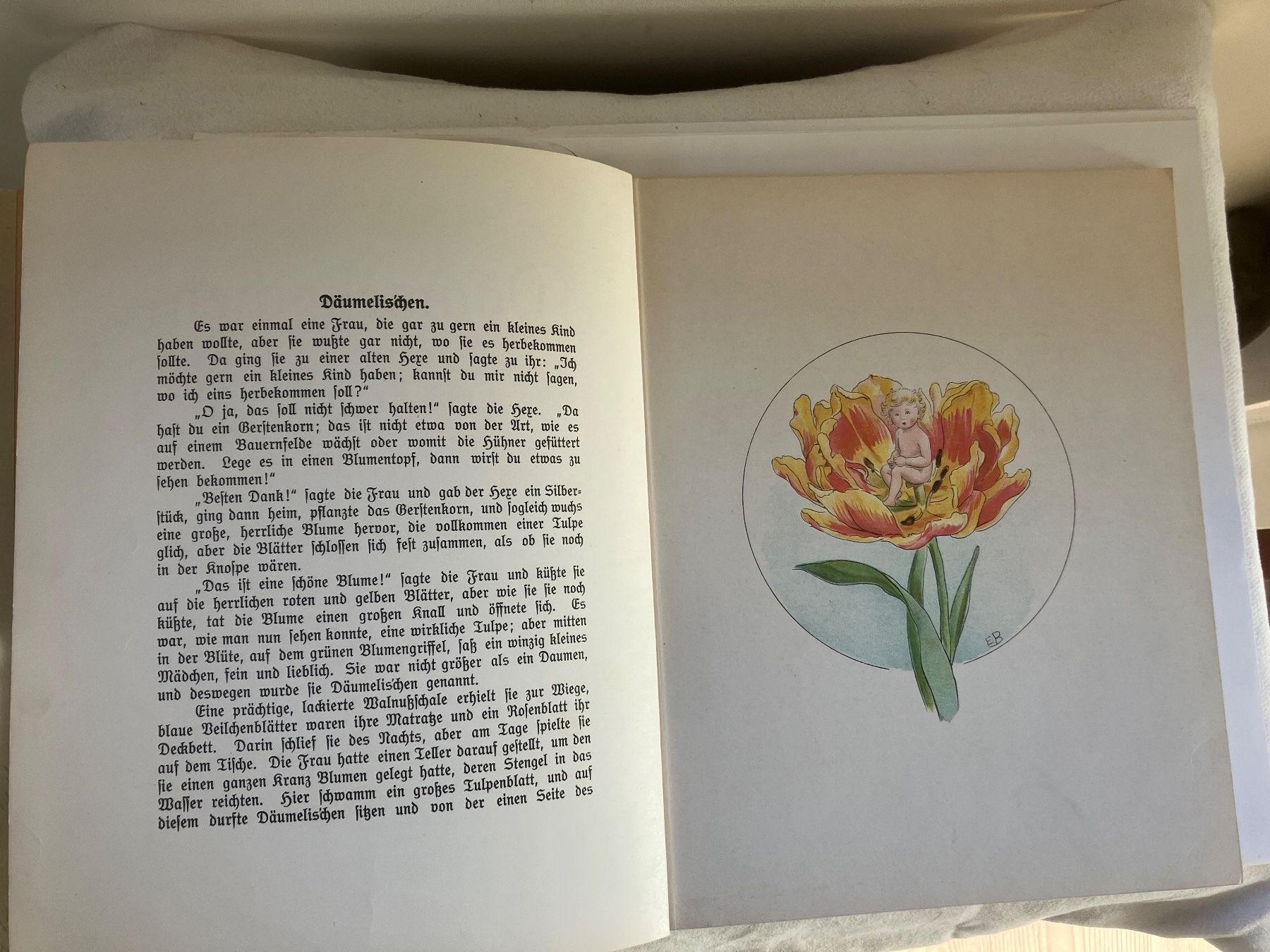 Libri: Däumelis`chen Märchen von Andersen  Bilder von Elsa Beskow – Usato da ZUERICH venduto da Carolus1 2