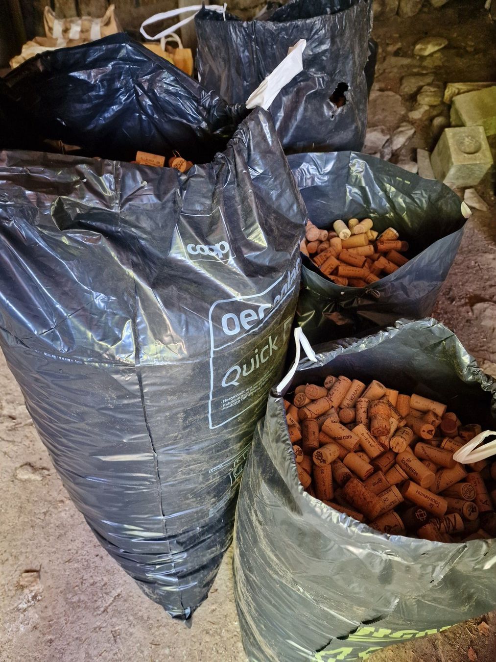 Apribottiglie & Tappi per chiusura: Korkzapfen – Usato da Flüelen venduto da novena 3