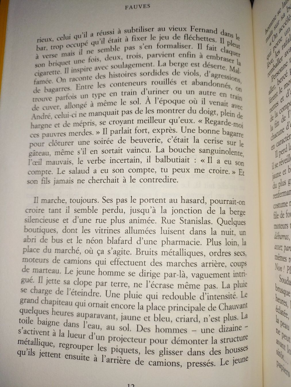Libri: Fauves Mélissa Da Costa – Usato da Cortaillod venduto da rozinna 3