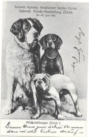Zürich Internationale Hundeausstellung 23.-25.6.1906
